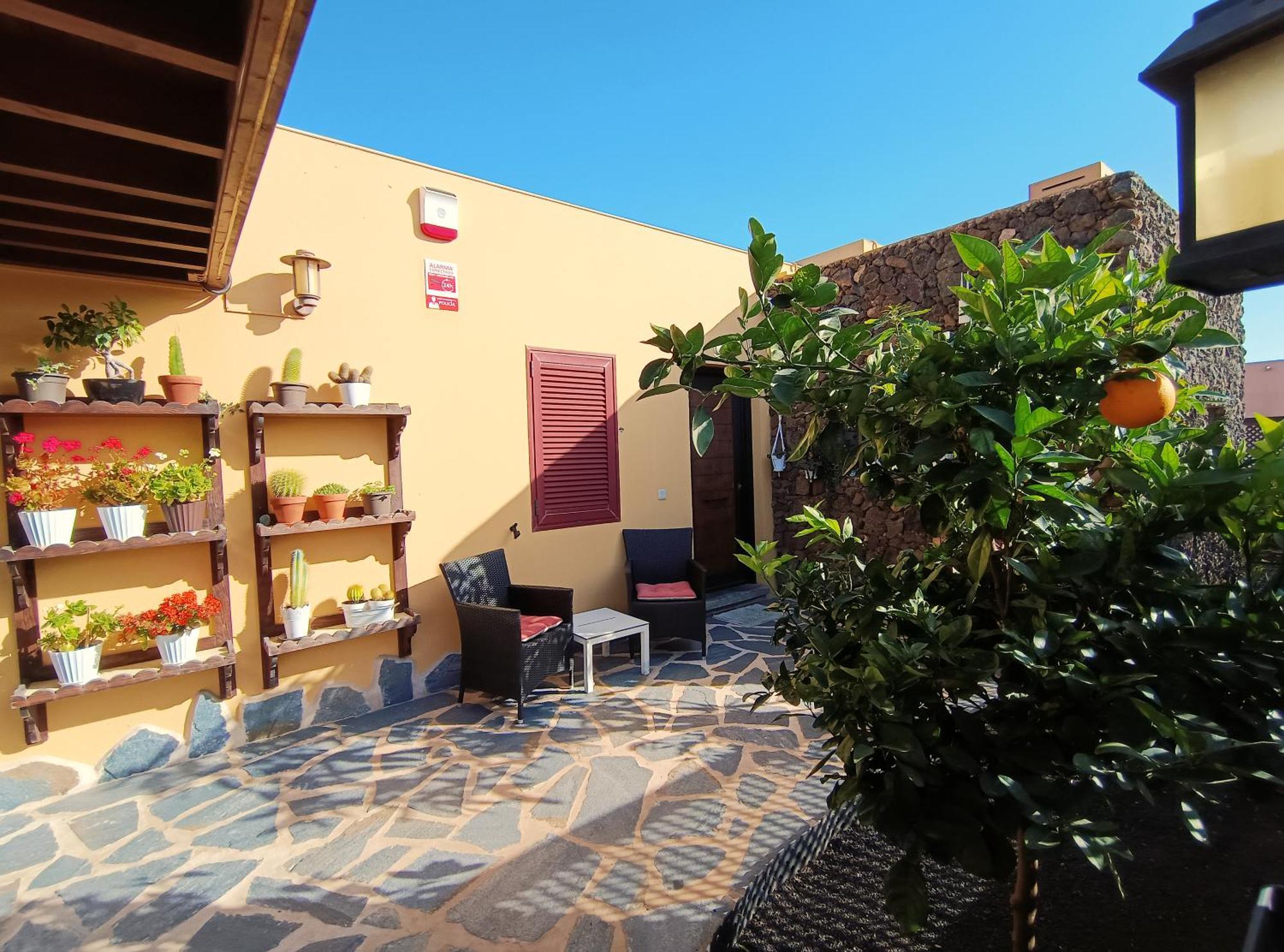 Villa Enola La Oliva Esterno foto