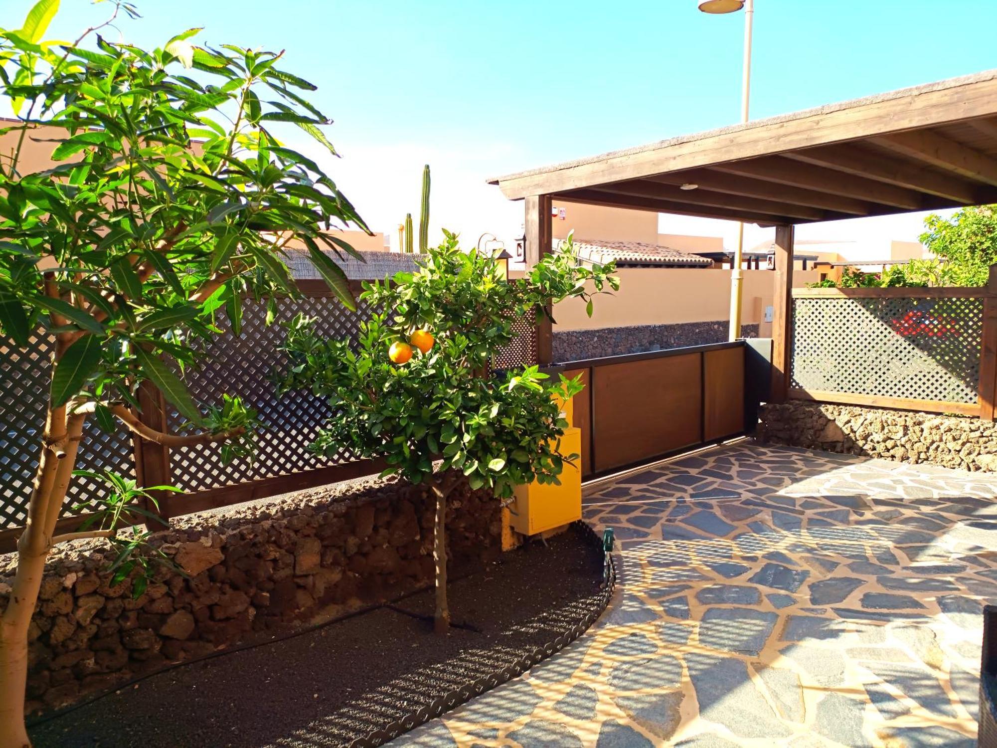 Villa Enola La Oliva Esterno foto